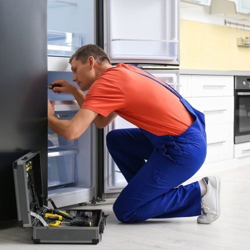 double door refrigerator repair service